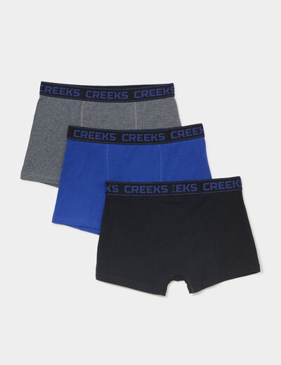 Lot 3 boxers Creeks bleu homme