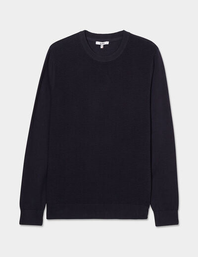 Pull col rond coton manches longues bleu foncé homme