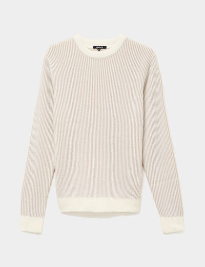 Pull c&ocirc;tel&eacute; col rond manches longues gris clair homme