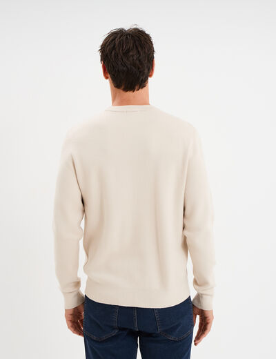 Pull col rond manches longues beige homme