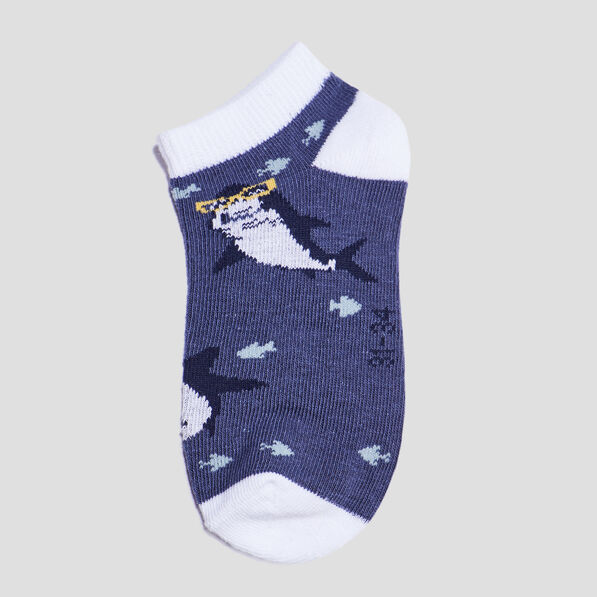 Lot 5 paires chaussettes invisibles multicolore garçon