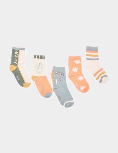 Lot 5 paires chaussettes coton multicolore garçon