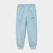 Pantalon de jogging droit Puma vert gar&ccedil;on