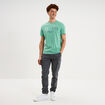 T-shirt col rond manches courtes coton vert menthe homme
