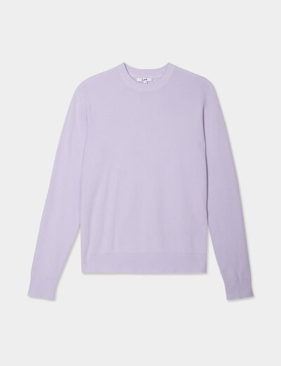 Pull avec col rond à relief parme homme