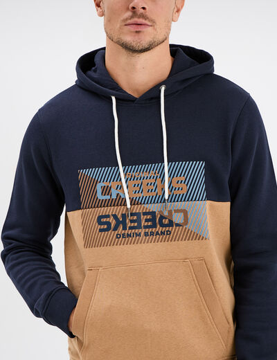 Sweat à capuche hoodie avec poche Creeks taupe homme