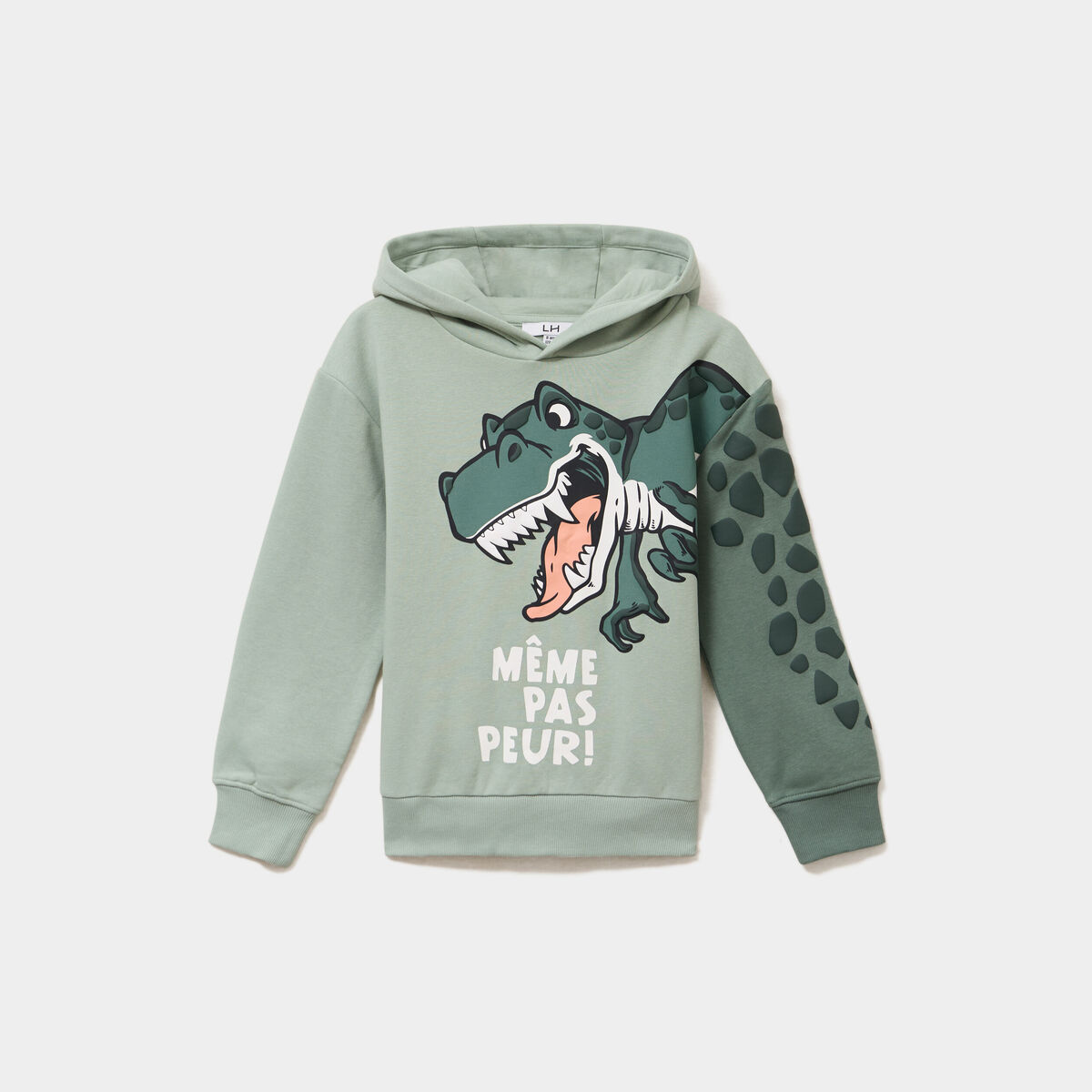 Sweat hoodie oversize &agrave; capuche vert pastel gar&ccedil;on