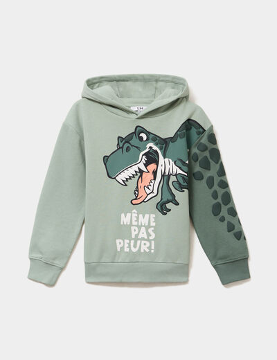 Sweat hoodie oversize &agrave; capuche vert pastel gar&ccedil;on