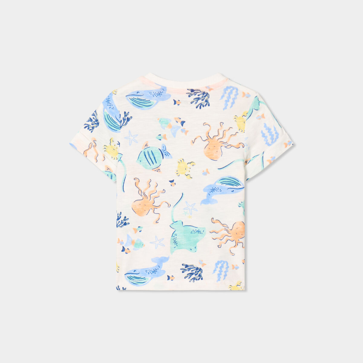 T-shirt avec manches courtes coton ecru b&eacute;b&eacute; gar&ccedil;on