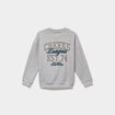 Sweat col rond manches longues gris clair gar&ccedil;on