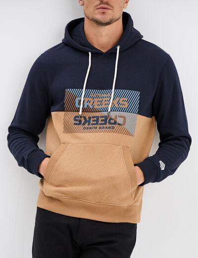 Sweat à capuche hoodie avec poche Creeks taupe homme