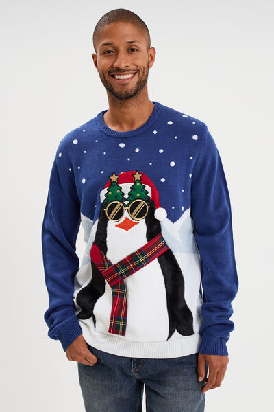Pull de No&euml;l col rond bleu homme