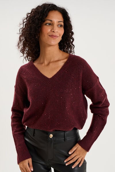 Pull droit &agrave; sequins et col en V prune femme