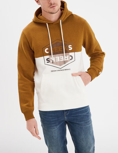 Sweat à capuche hoodie Creeks colorbloc marron homme