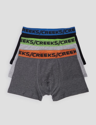 Lot 3 boxers Creeks noir homme