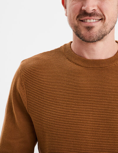 Pull col rond coton manches longues marron homme