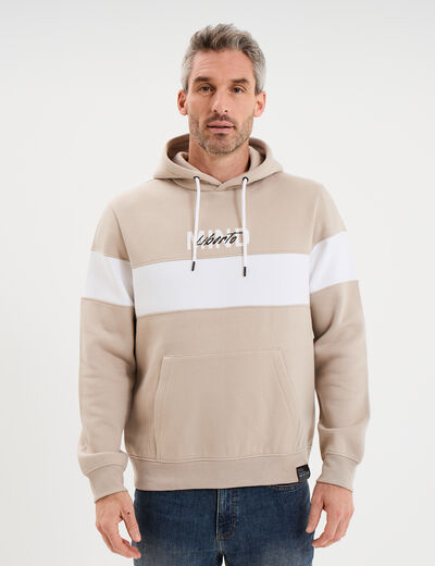 Sweat hoodie molleton manches longues gris clair homme