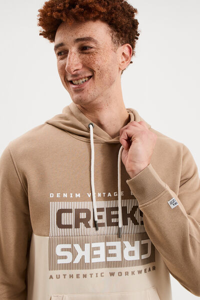Sweat hoodie &agrave; capuche molleton taupe homme