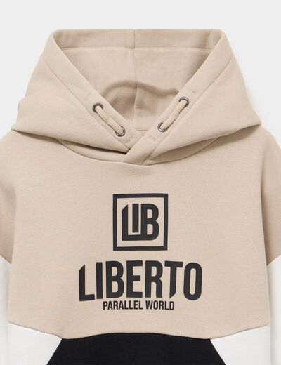 Sweat &agrave; capuche hoodie gris fonc&eacute; gar&ccedil;on