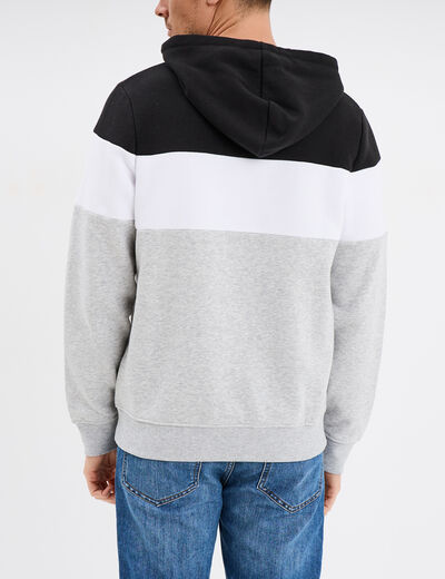 Sweat à capuche hoodie Creeks gris homme