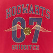 T-shirt manches longues Harry Potter bordeaux fille