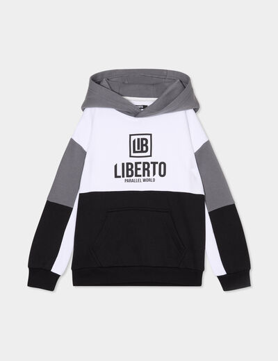 Sweat à capuche hoodie Liberto gris foncé garçon