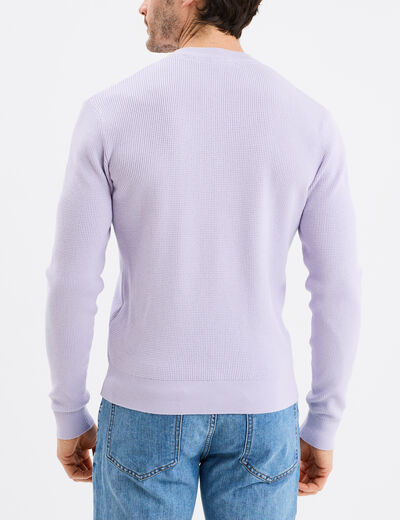 Pull avec col rond à relief parme homme