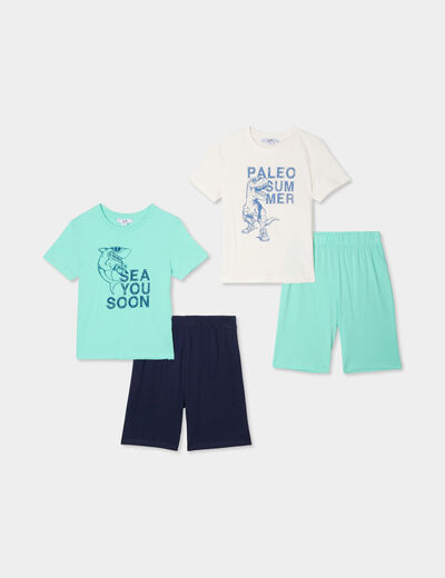 Lot 2 ensembles pyjamas short coton vert clair garçon