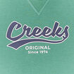 Sweat à capuche hoodie Creeks vert garçon