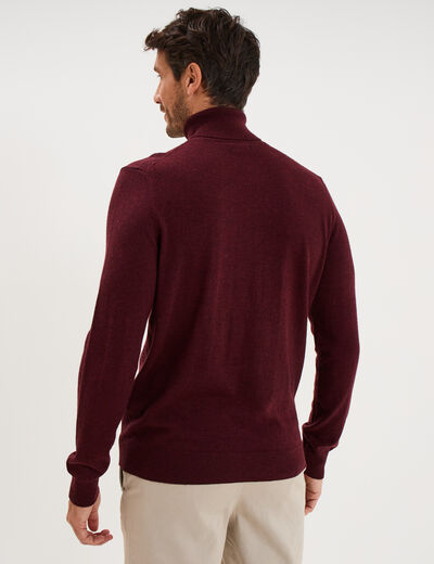 Pull col roul&eacute; manches longues violet fonc&eacute; homme
