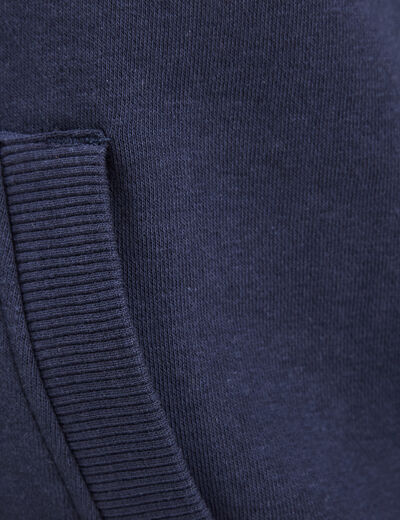 Sweat à capuche hoodie Creeks bleu marine homme