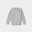 Sweat col rond manches longues gris clair gar&ccedil;on