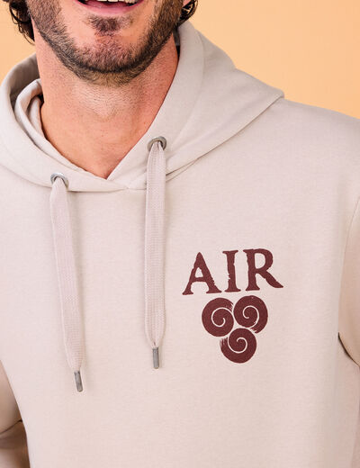 Sweat à capuche hoodie Avatar sable homme