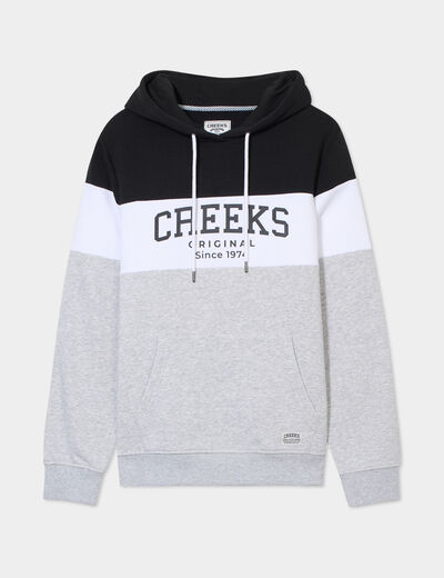 Sweat à capuche hoodie Creeks gris homme