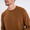 Pull col rond coton manches longues marron homme
