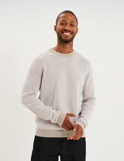 Pull col rond manches longues gris clair homme