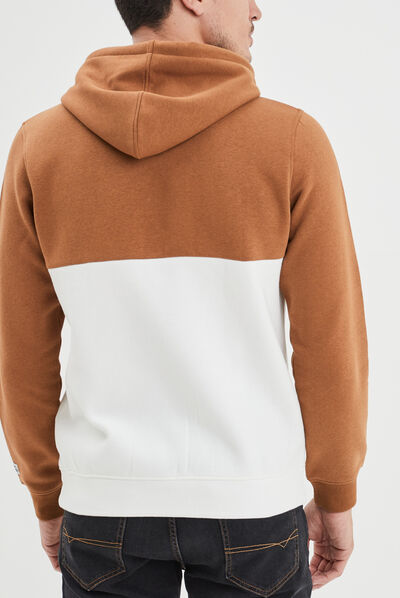Sweat à capuche hoodie Creeks marron homme