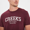 T-shirt manches courtes coton Creeks prune homme
