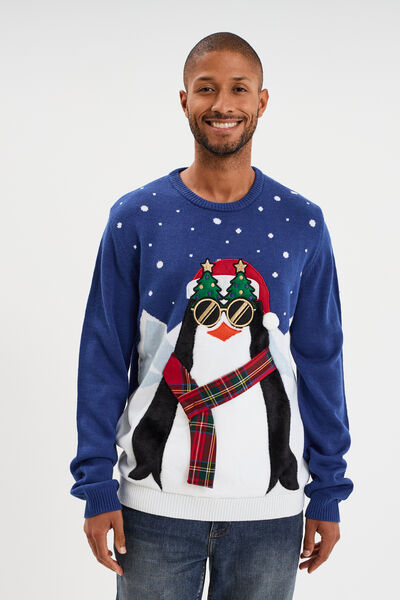 Pull de No&euml;l col rond bleu homme