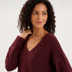Pull droit &agrave; sequins et col en V prune femme