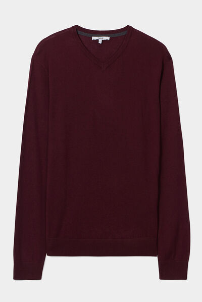 Pull avec col en V prune homme