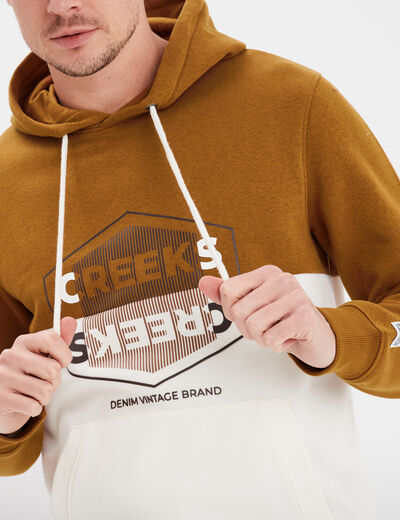 Sweat à capuche hoodie Creeks colorbloc marron homme