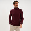 Pull col roul&eacute; manches longues violet fonc&eacute; homme
