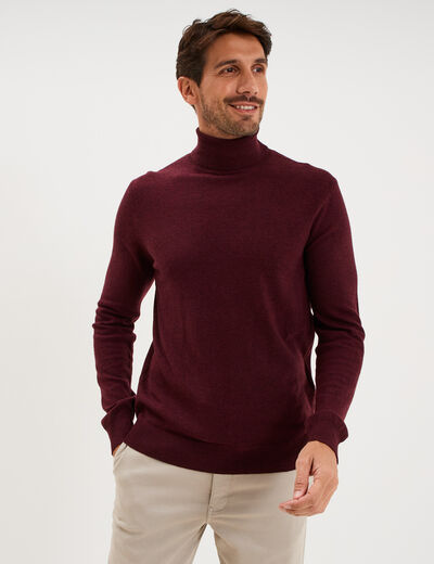 Pull col roul&eacute; manches longues violet fonc&eacute; homme