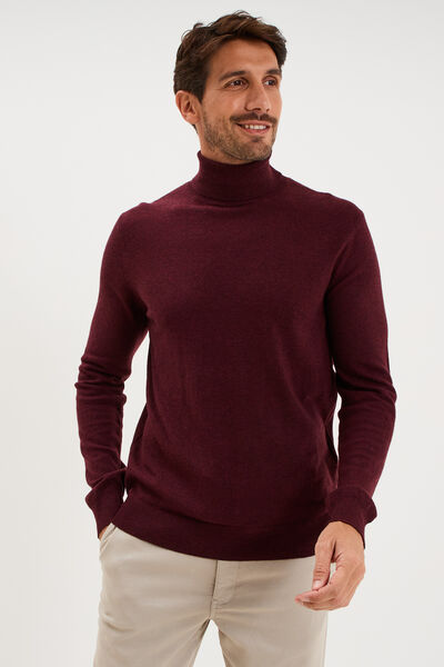 Pull col roul&eacute; manches longues violet fonc&eacute; homme