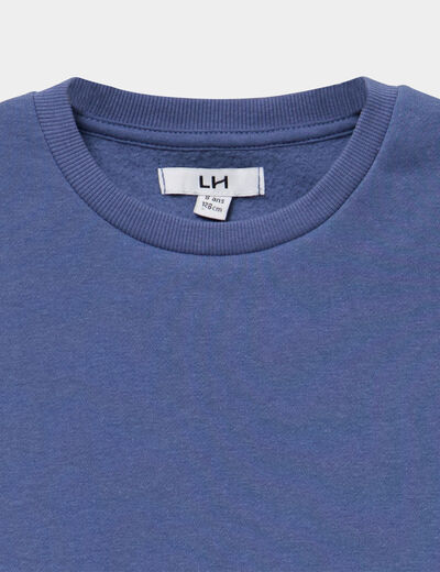 Sweat col rond manches longues bleu gris fille