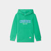 Sweat à capuche hoodie Creeks vert garçon