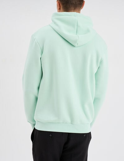 Sweat hoodie à capuche Naruto vert pastel homme