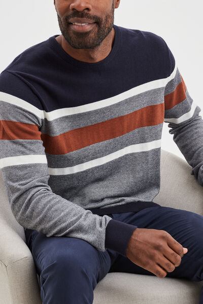 Pull col rond manches longues multicolore homme