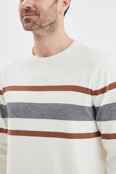 Pull col rond manches longues multicolore homme
